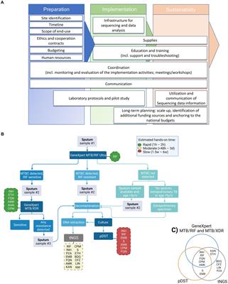 Implementation of targeted next-generation sequencing for the diagnosis of drug-resistant tuberculosis in low-resource settings: a programmatic model, challenges, and initial outcomes